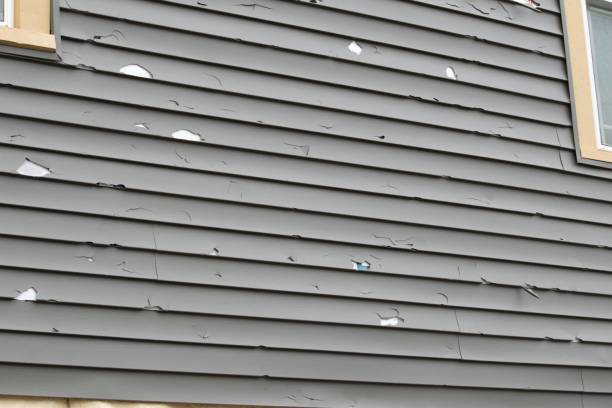 Best Composite Siding  in Collierville, TN